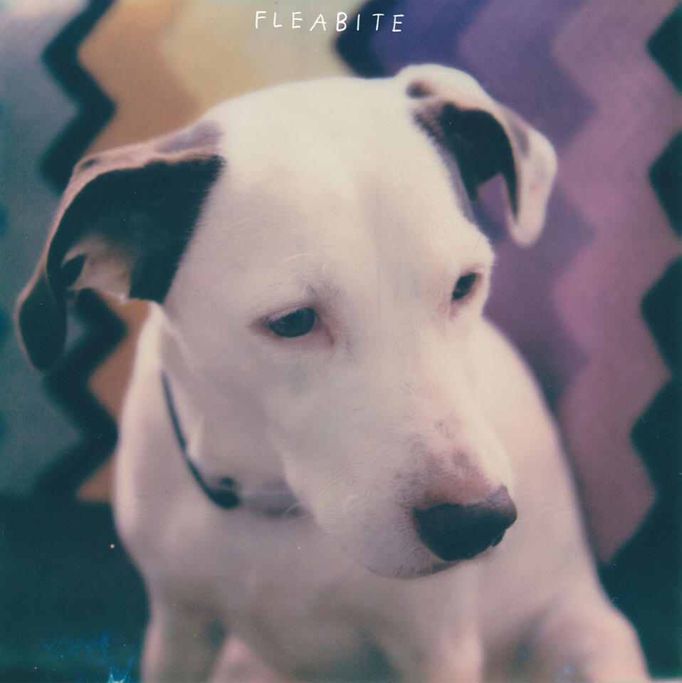 Fleabite - Album Layout + Design