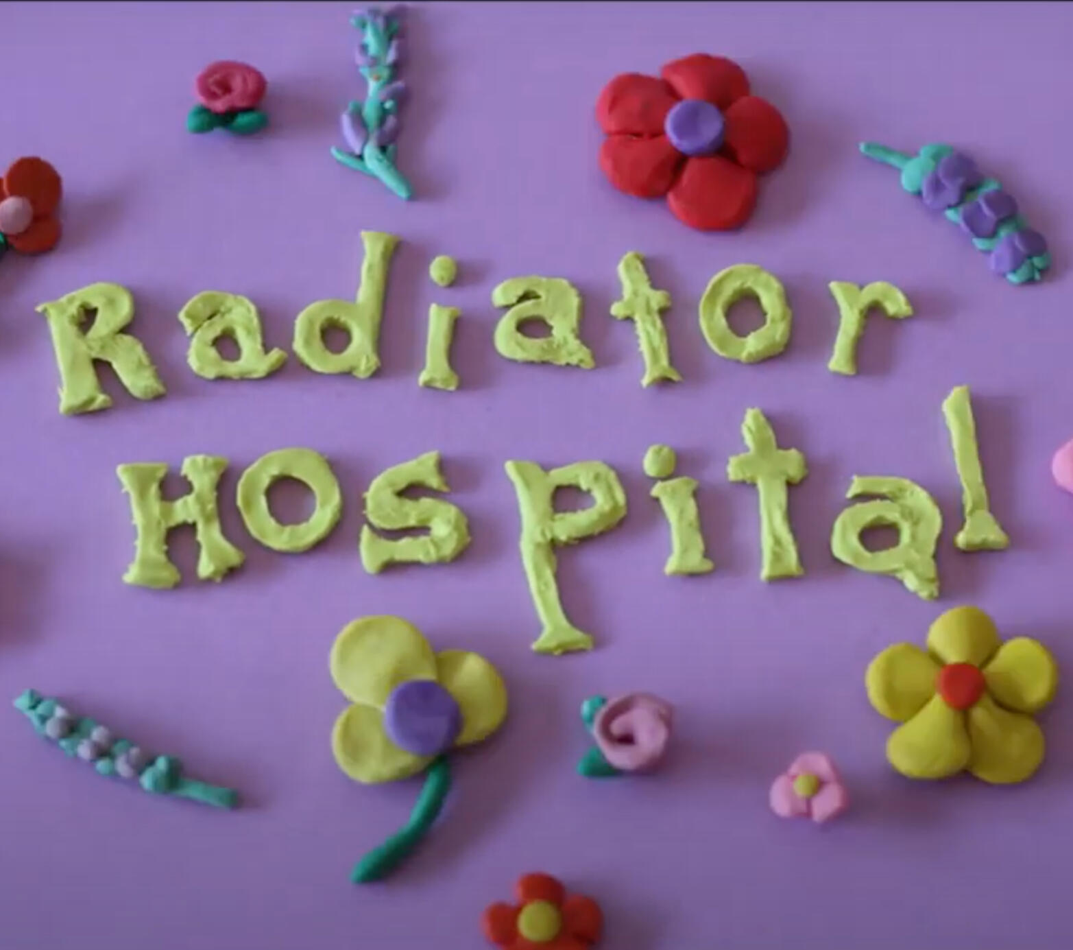 Radiator Hospital - My New Chord